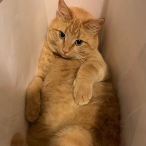 Meet your Posher, Catherine